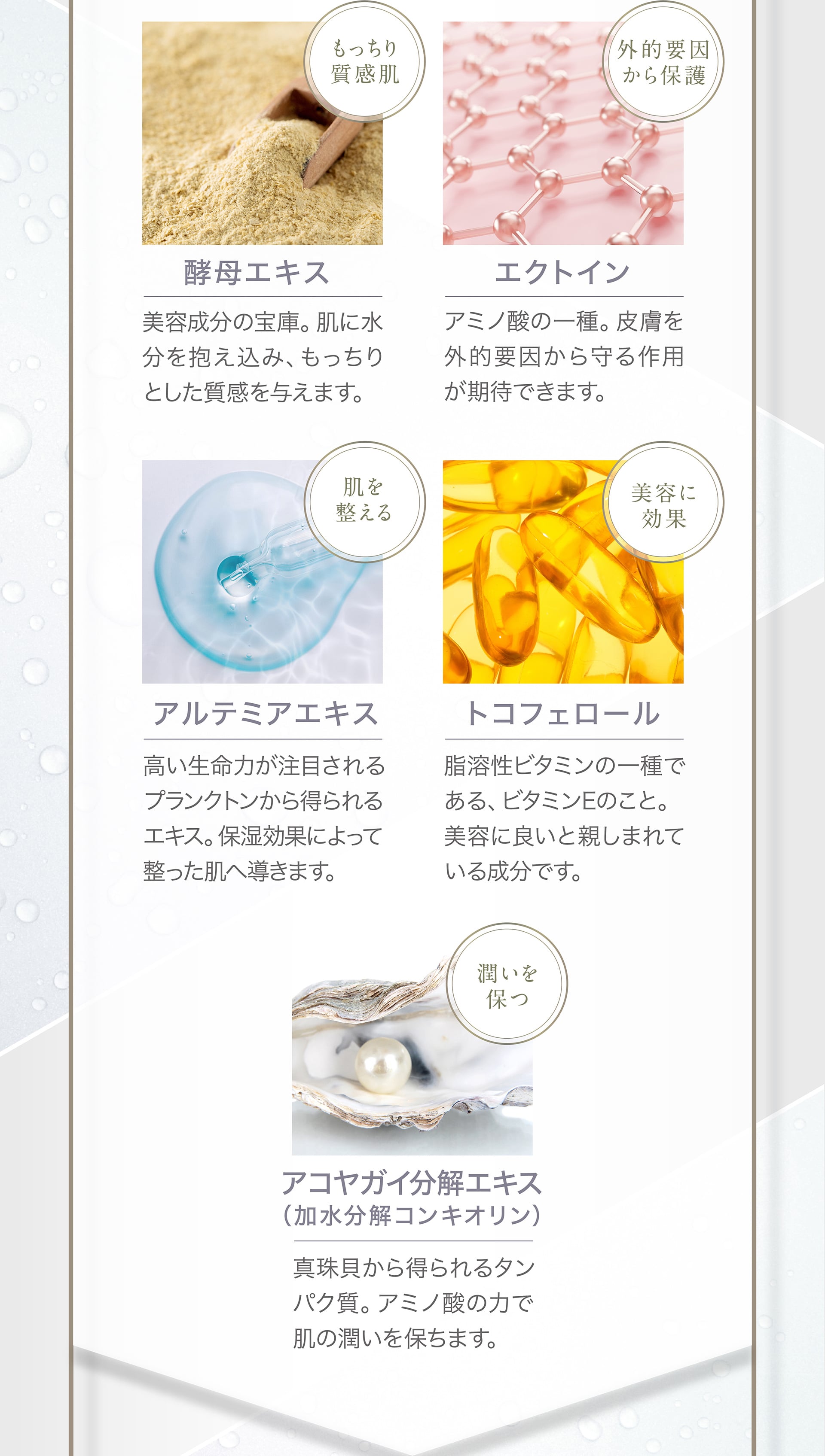 【もっちり質感肌】酵母エキス【外的要因から保護】エクトイン【肌を整える】アルテミアエキス【美容に効果】トコフェロール【潤いを保つ】アコヤガイ分解エキス