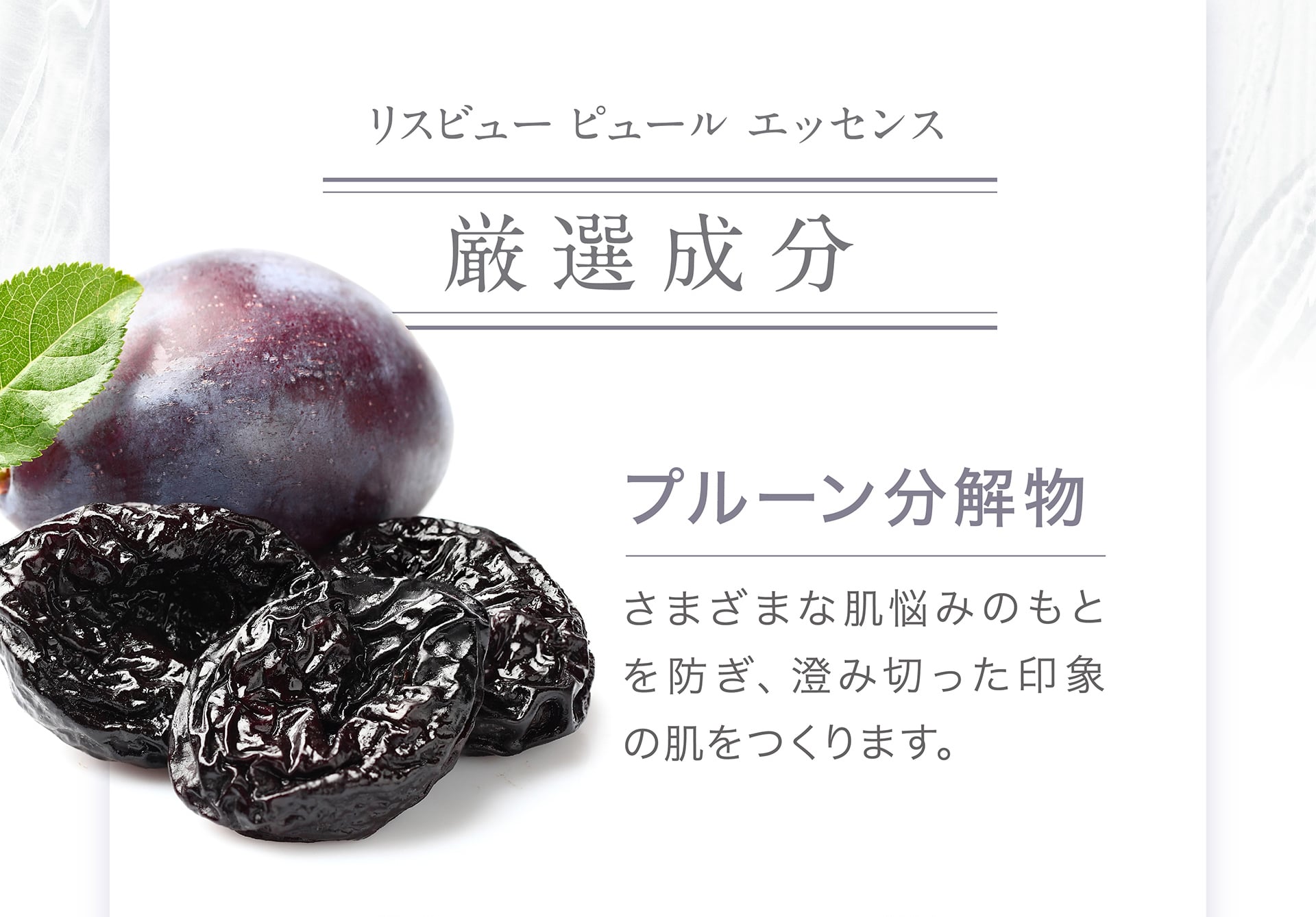 【厳選成分】プルーン分解物