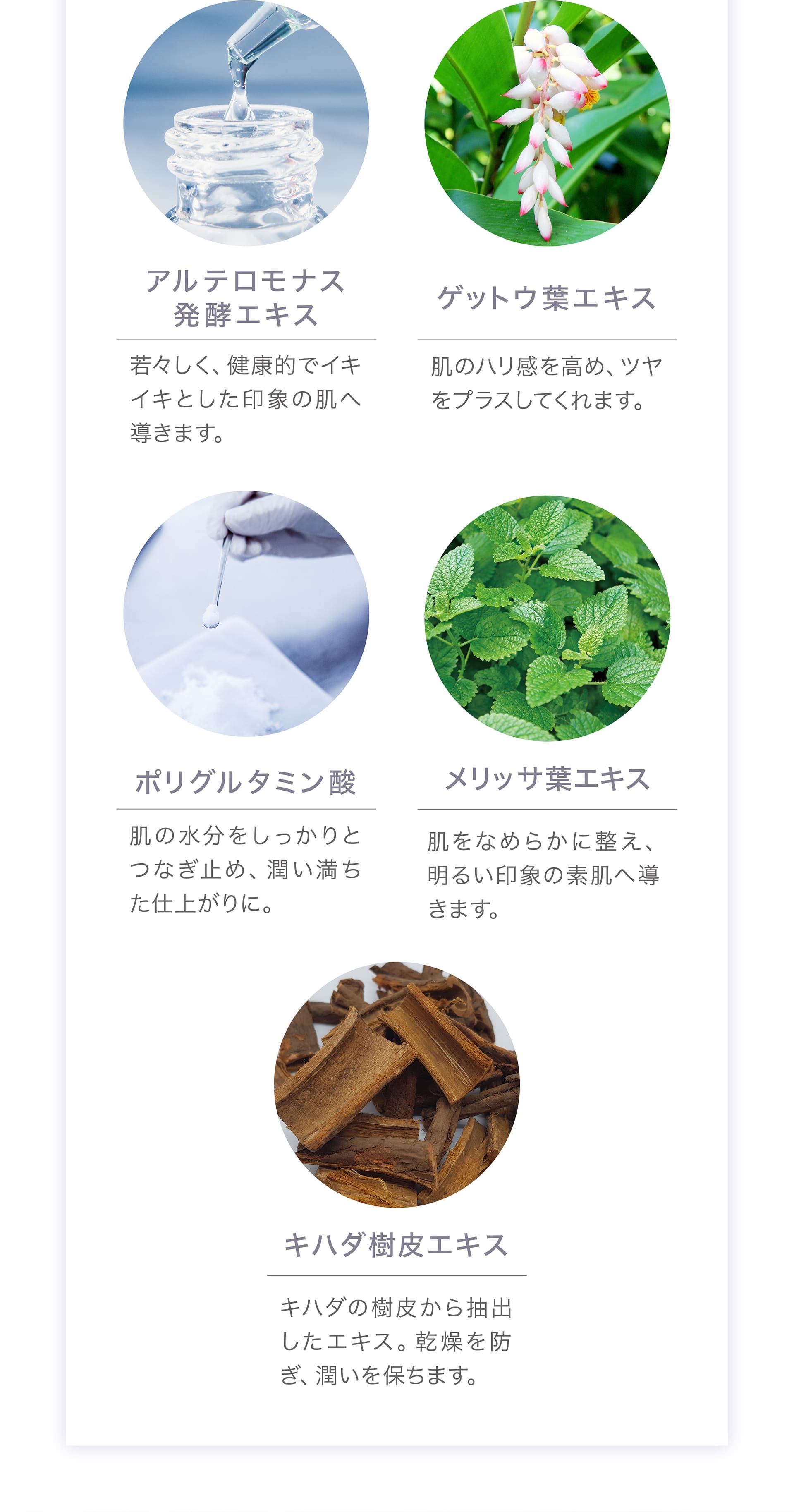 アルテロモナス発酵エキス、ゲットウ葉エキス、ポリグルタミン酸、メリッサ葉エキス、キハダ樹皮エキス