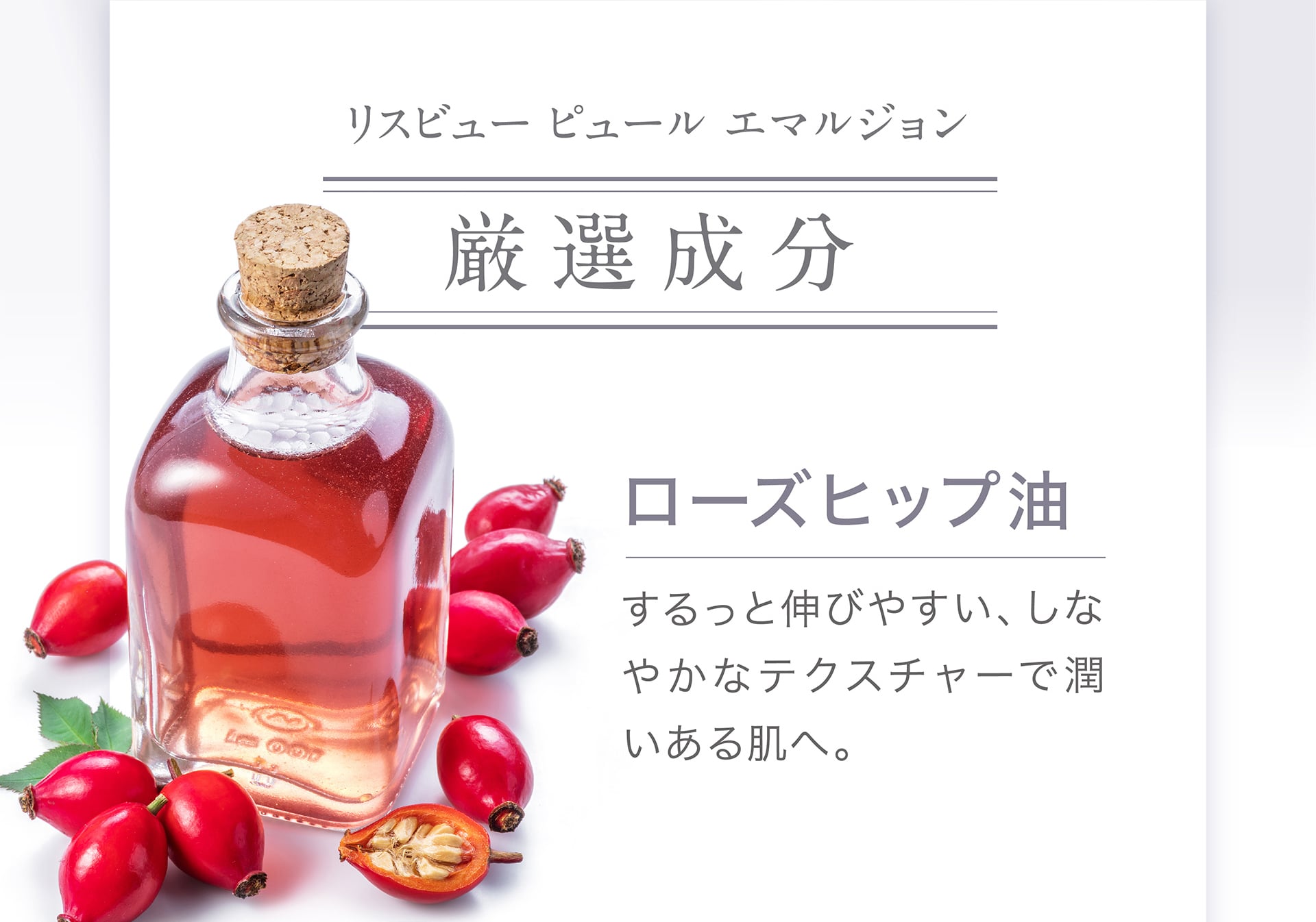【厳選成分】ローズヒップ脂