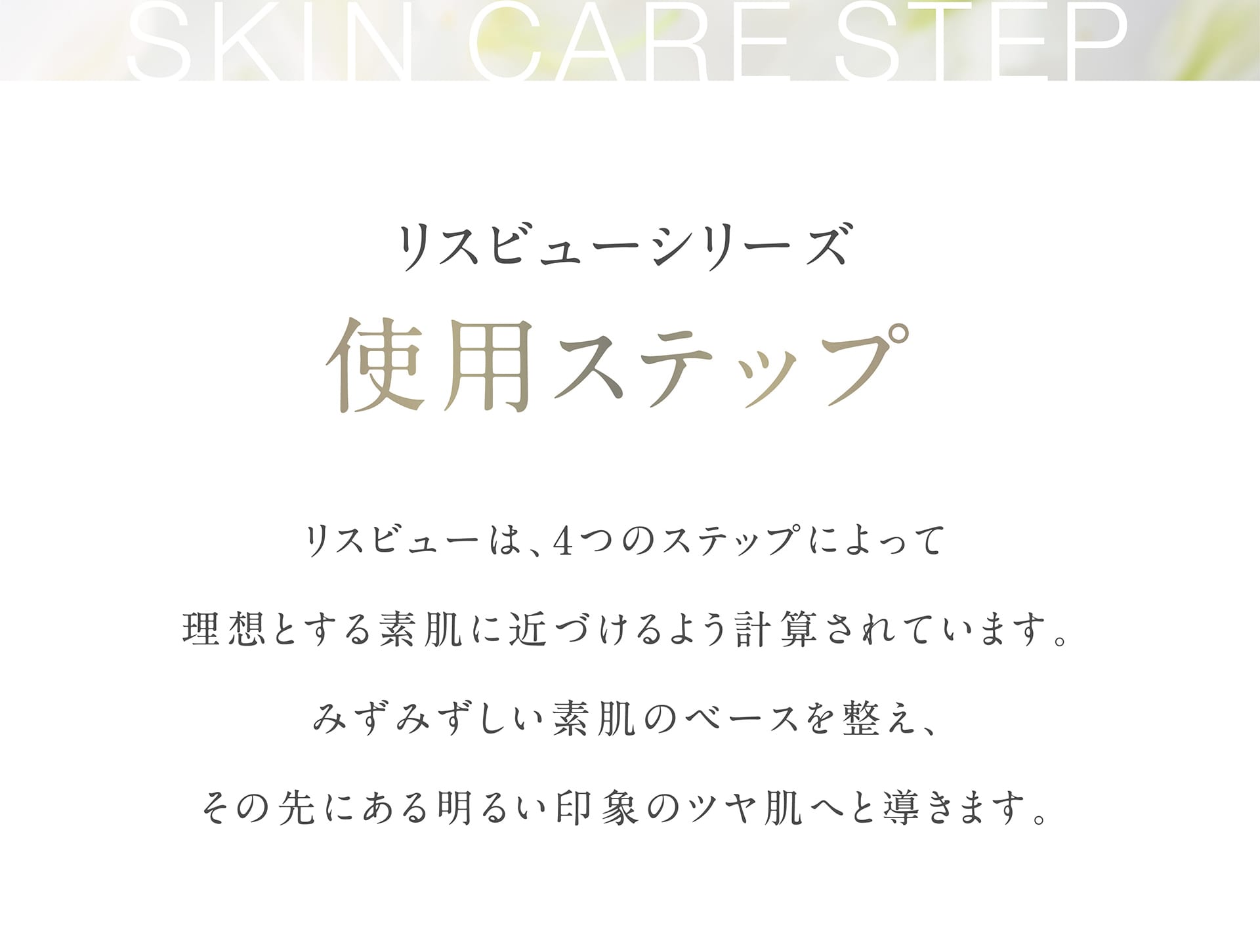 リスビューシリーズ使用ステップ