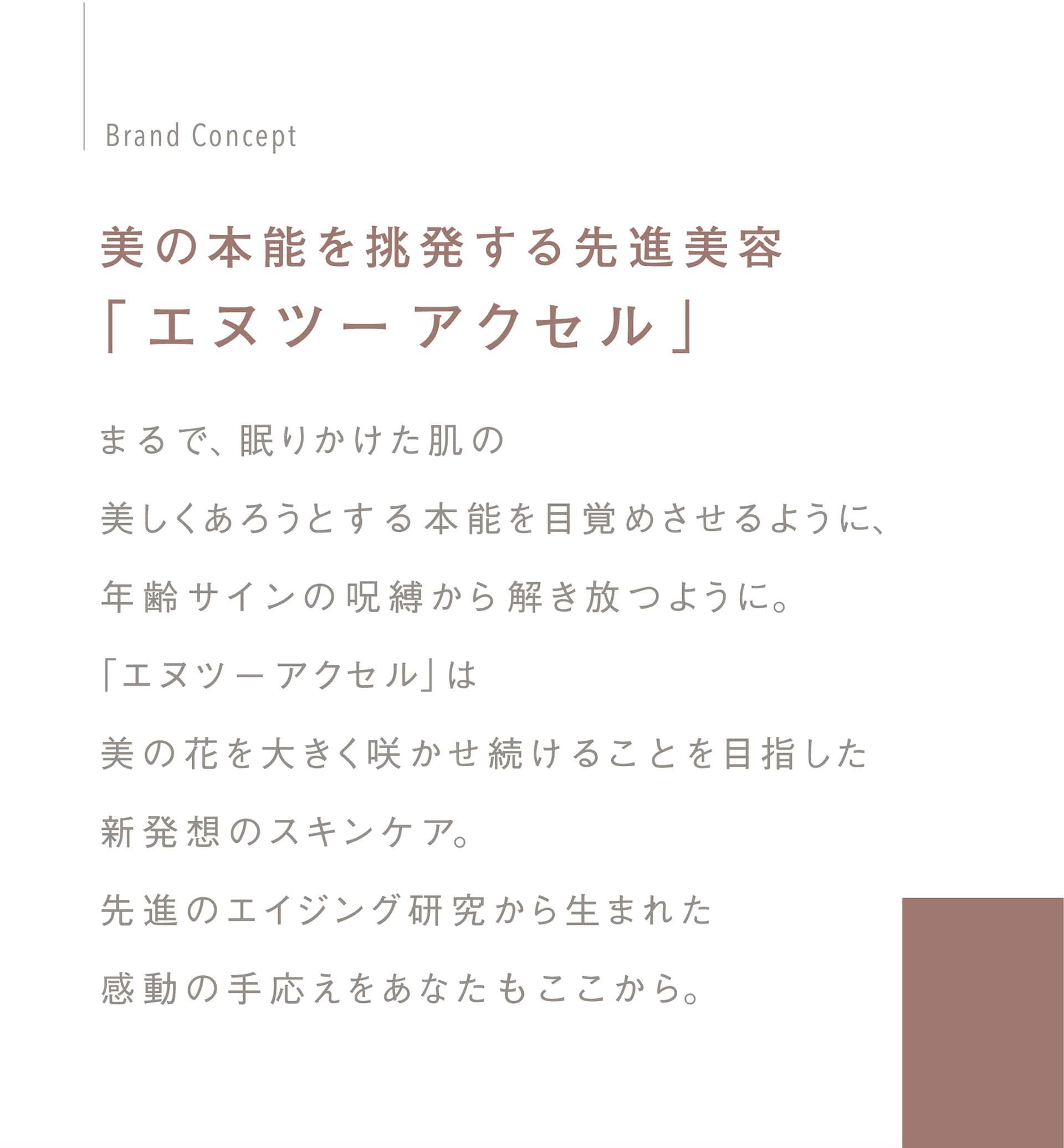 美の本能を挑発する先進美容「エヌツーアクセル」