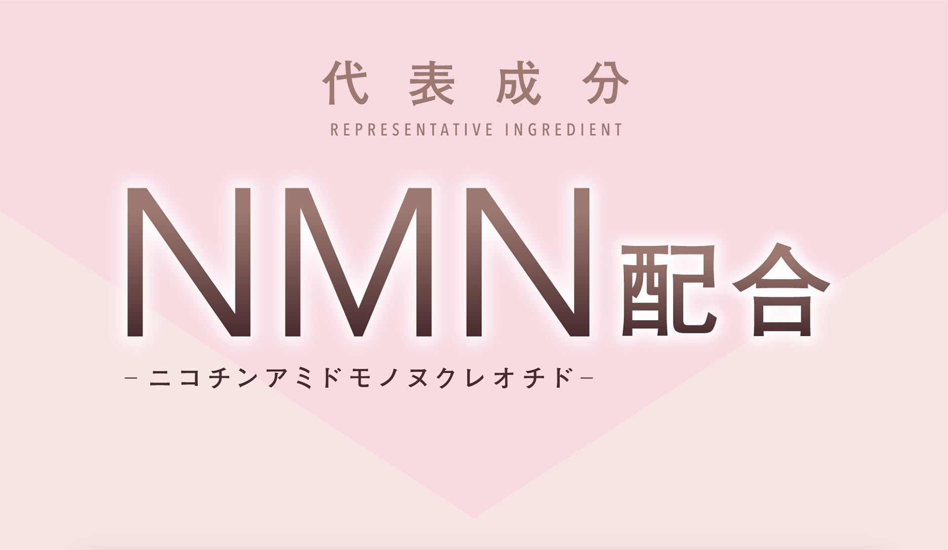 代表成分NMN（ニコチンアミドモノヌクレオチド）配合