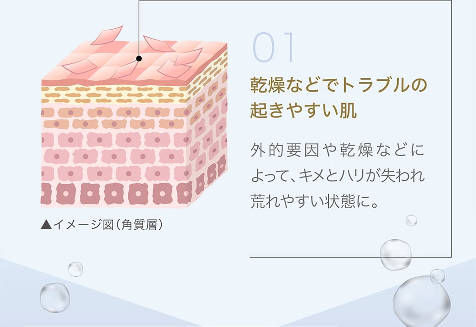 【01】感想などでトラブルの起きやすい肌へ
