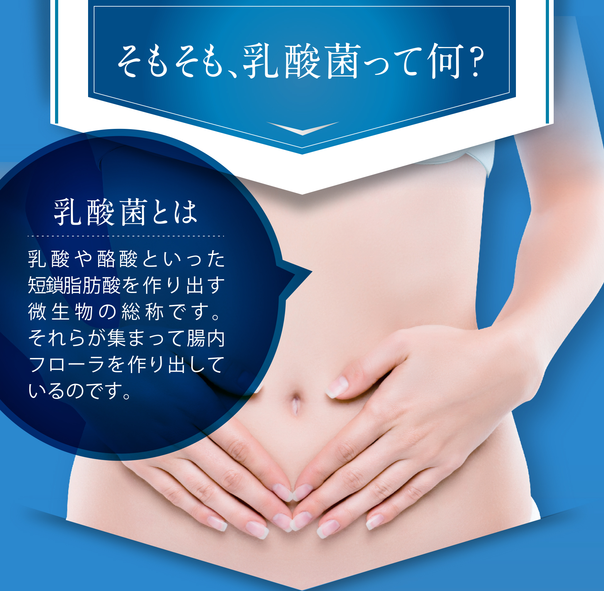 「乳酸菌とは」乳酸や酪酸といった短鎖脂肪酸を作り出す微生物の総称です。それらが集まって腸内フローラを作り出しているのです。