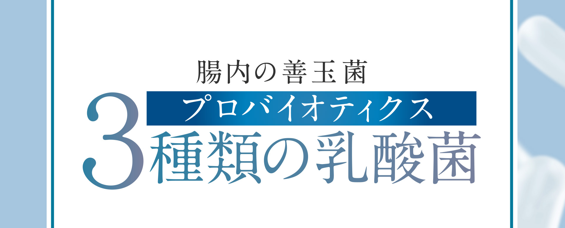 腸内の善玉菌 3種類の乳酸菌
