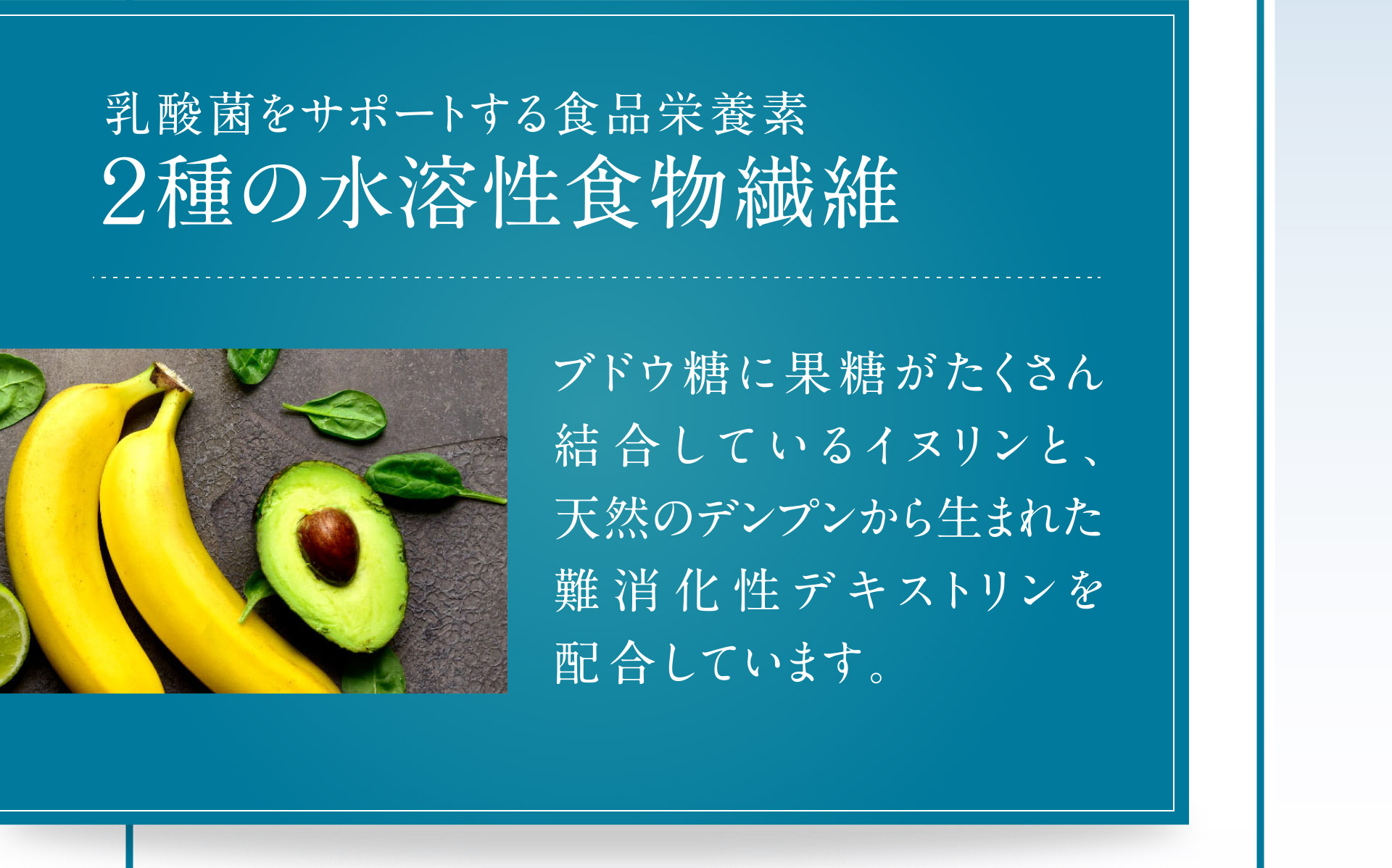 乳酸菌をサポートする食品栄養素 2種の水溶性食物繊維