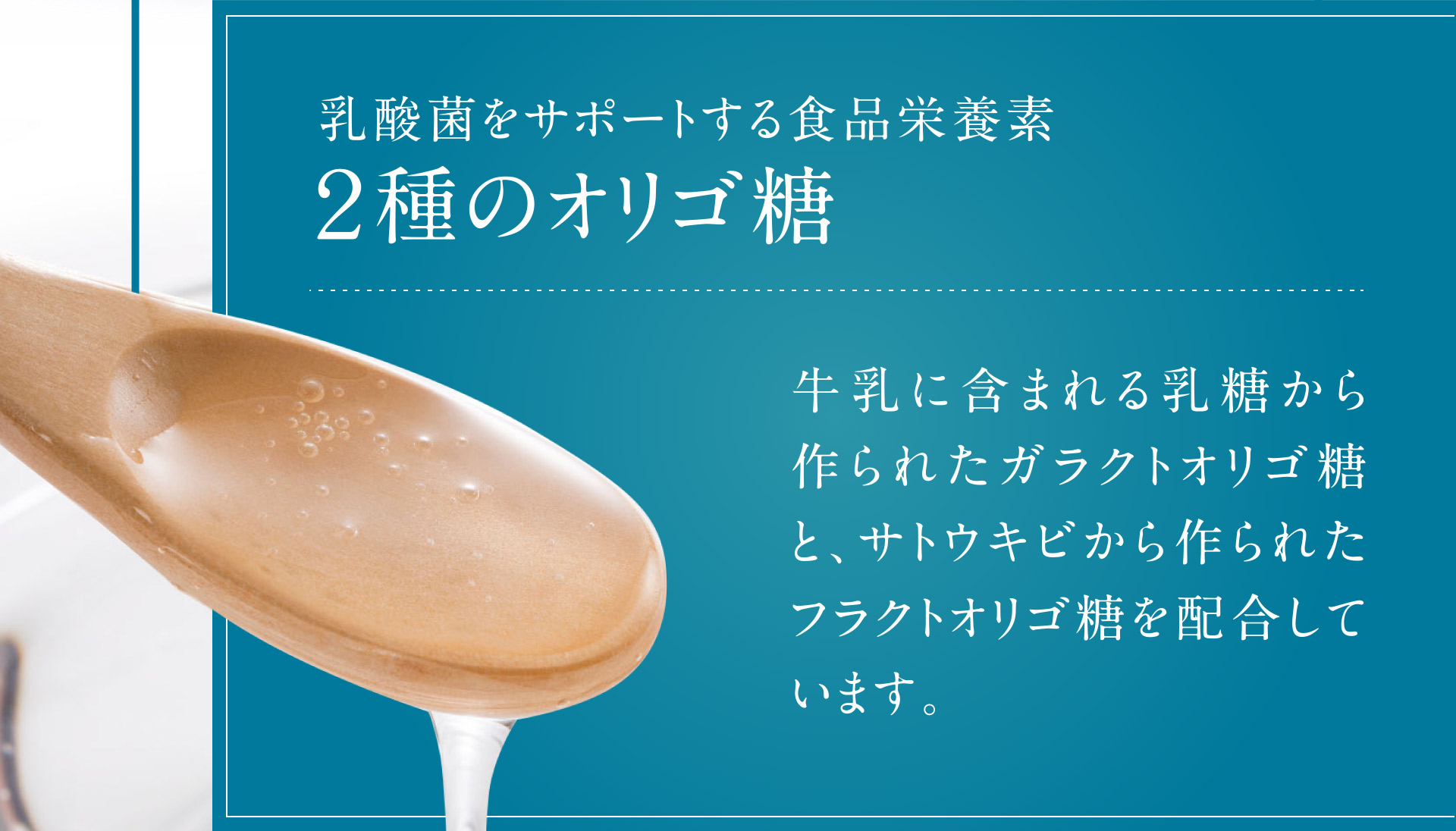 乳酸菌をサポートする食品栄養素 2種のオリゴ糖