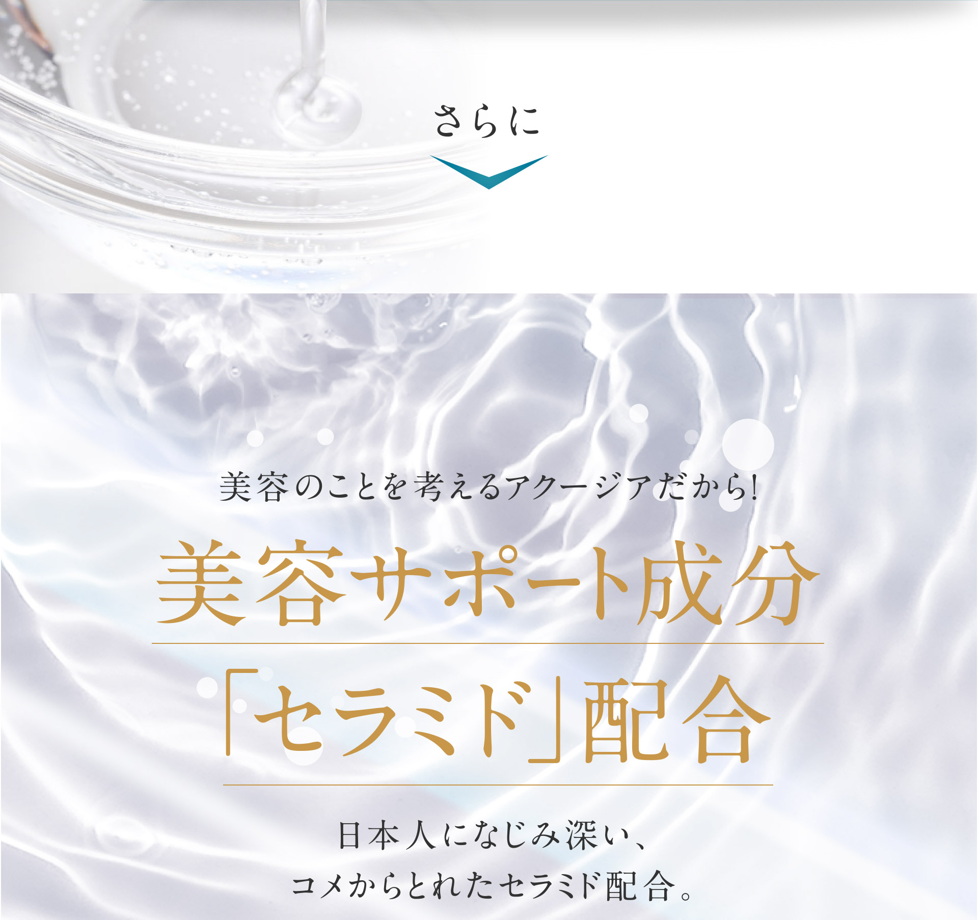 美容サポート成分「セラミド」配合