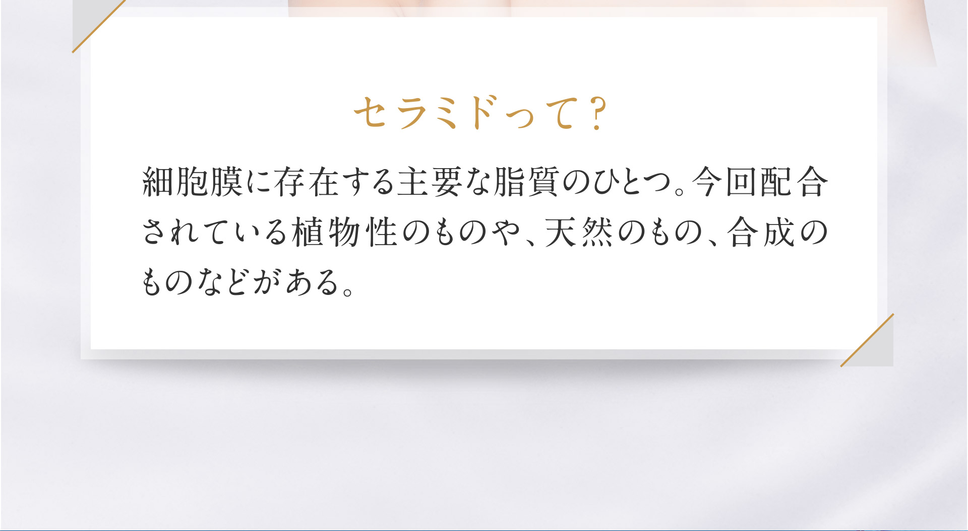セラミドって？ 細胞膜に存在する主要な脂質のひとつ。