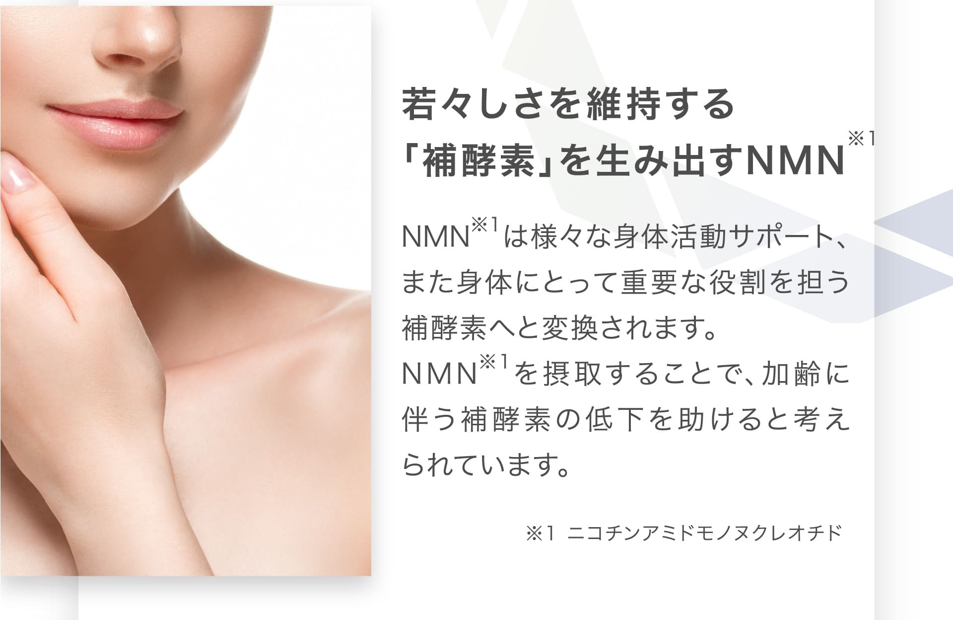若々しさを維持する「補酵素」を生み出すNMN