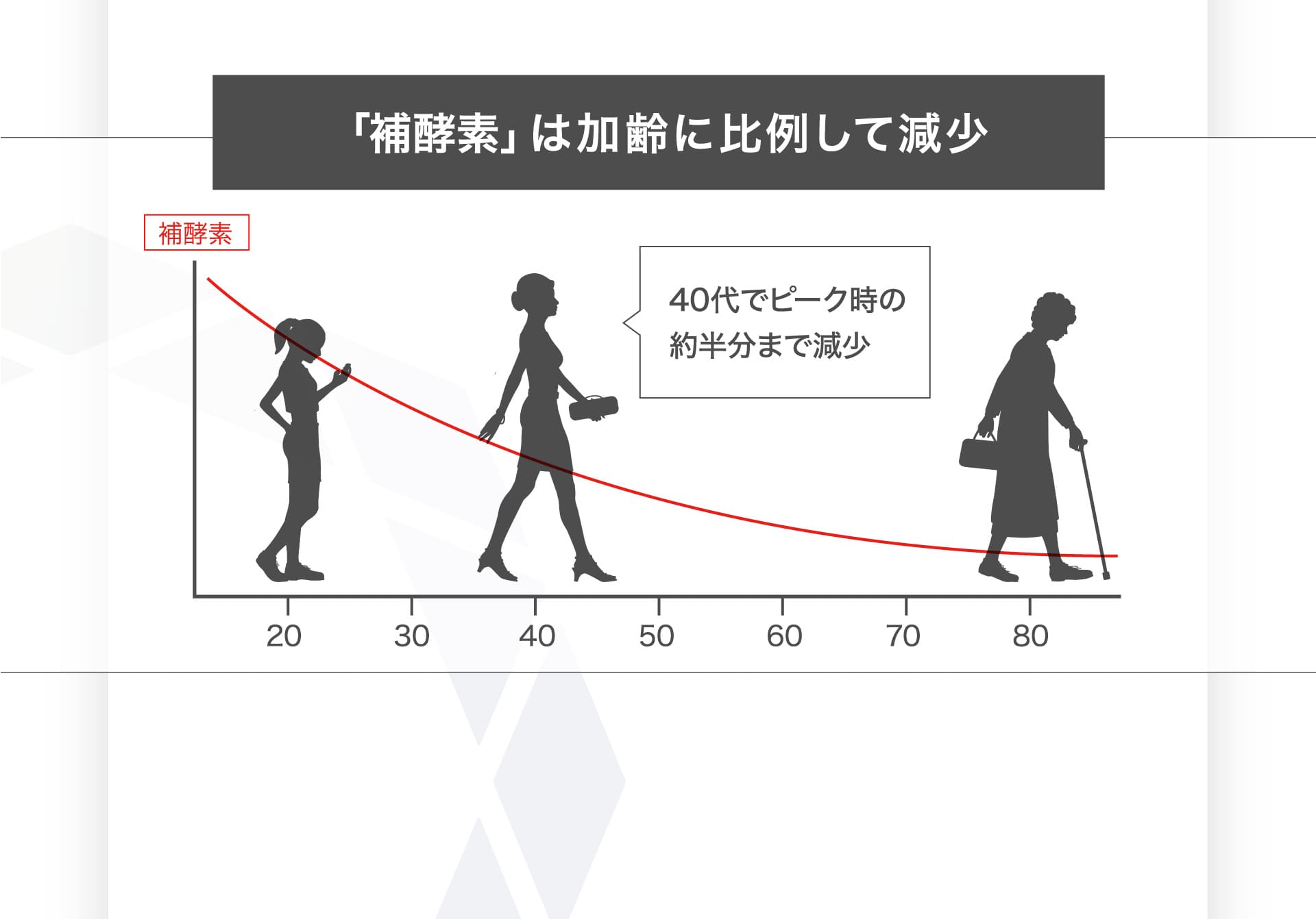 「補酵素」は加齢に比例して減少
