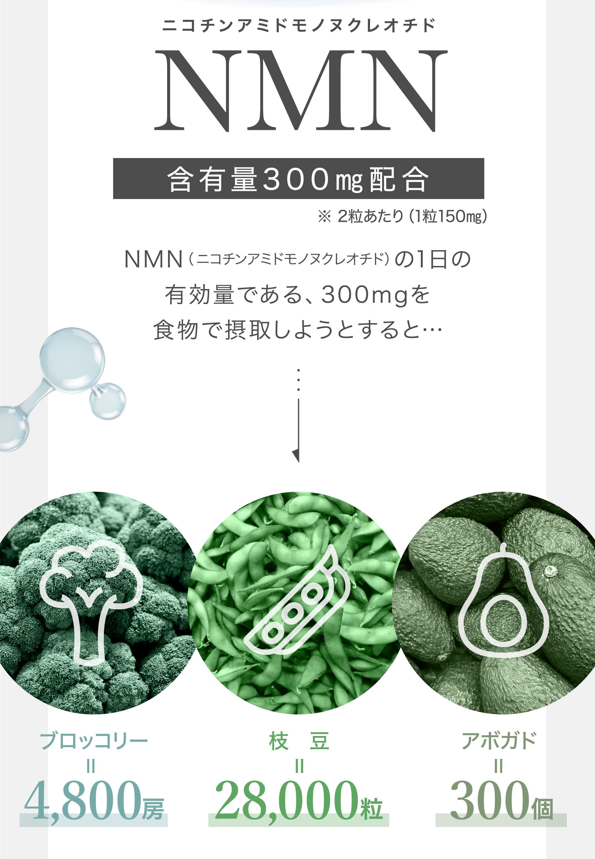 NMN 含有量300mg配合