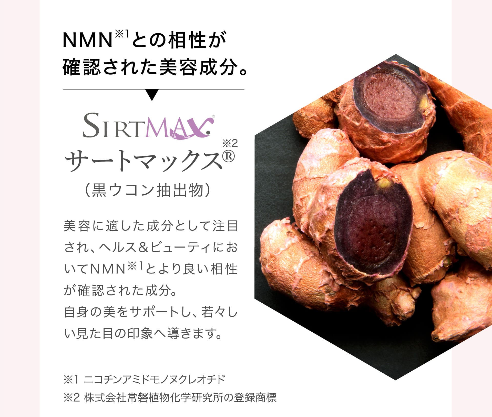 NMNとの相性が確認された美容成分。サートマックス®（黒ウコン抽出物）
