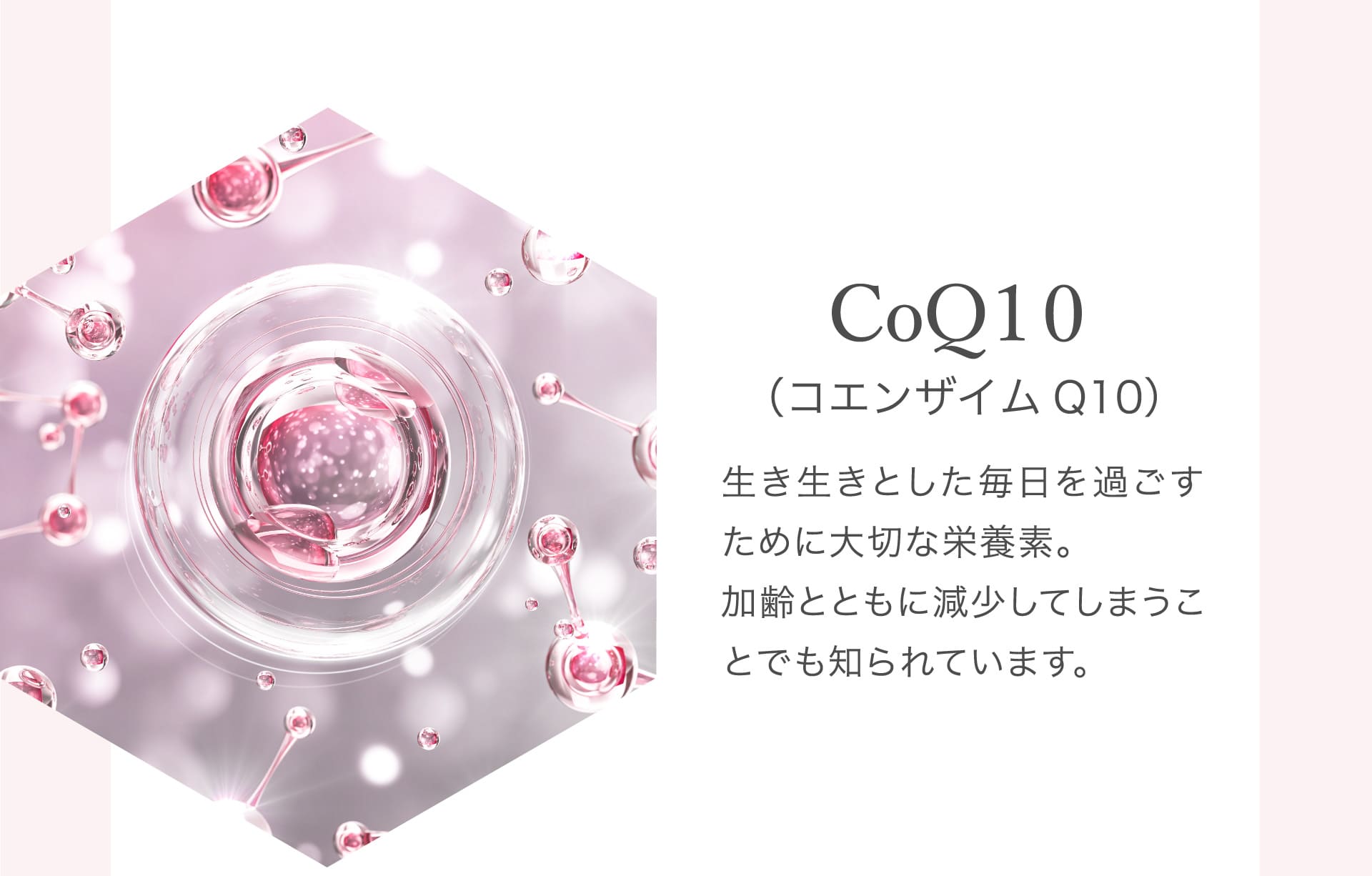 CoQ10（コエンザイムQ10）