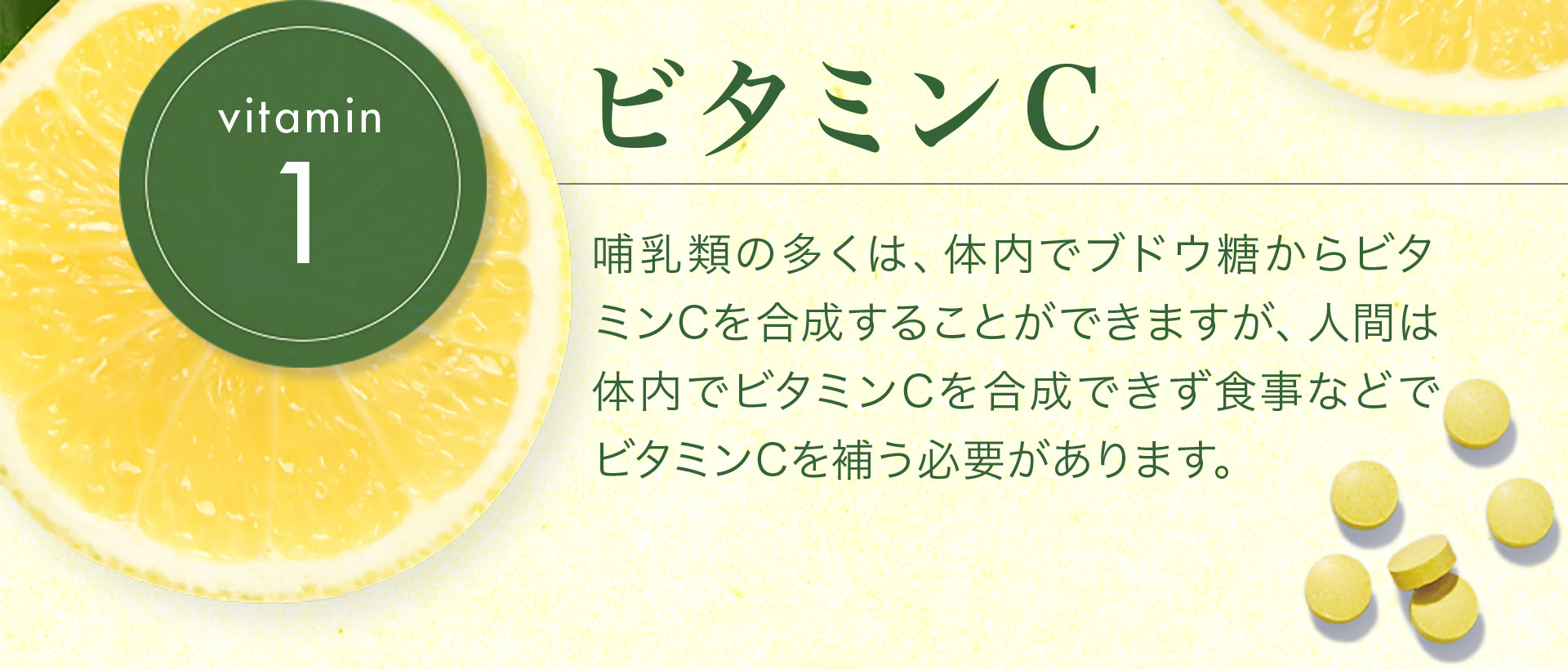 【vitamin1　ビタミンC】哺乳類の多くは、体内でブドウ糖からビタ ミンCを合成することができますが、人間は体内でビタミンCを合成できず食事などでビタミンCを補う必要があります。