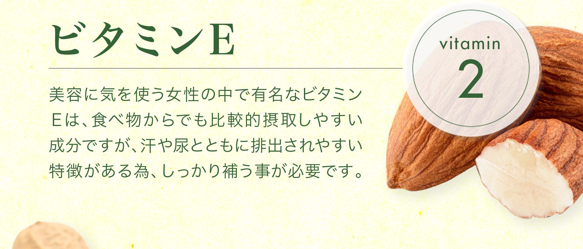 【vitamin2　ビタミンE】美容に気を使う女性の中で有名なビタミン Ｅは、食べ物からでも比較的摂取しやすい 成分ですが、汗や尿とともに排出されやすい 特徴がある為、しっかり補う事が必要です。