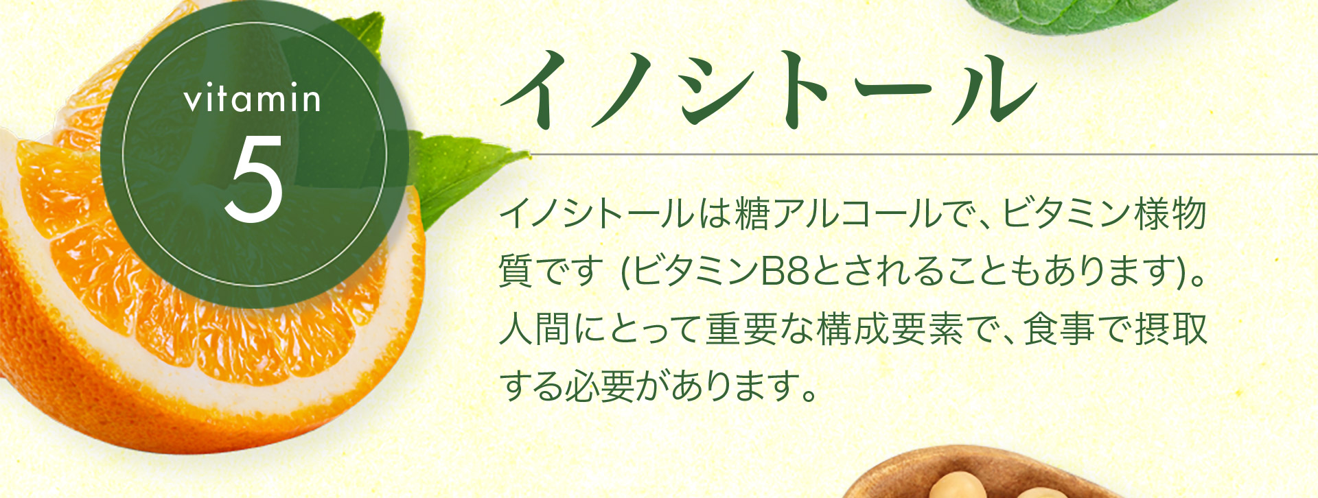 【vitamin5　イノシトール】イノシトールは糖アルコールで、ビタミン様物 質です (ビタミンB8とされることもあります)。 人間にとって重要な構成要素で、食事で摂取 する必要があります。 