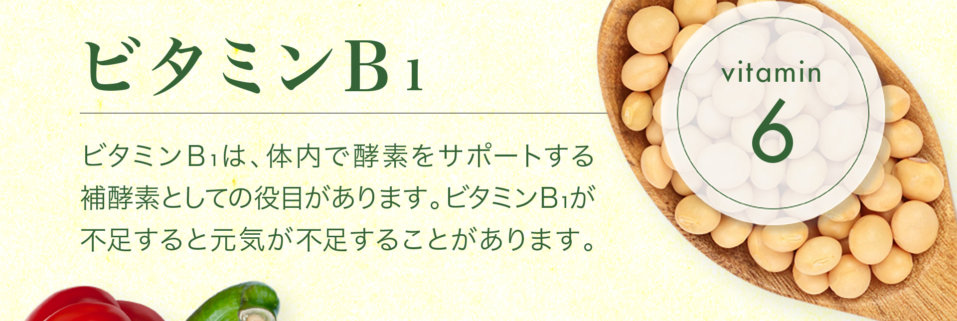 【vitamin6　ビタミンＢ?】ビタミンＢ?は、体内で酵素をサポートする 補酵素としての役目があります。ビタミンＢ?が不足すると元気が不足することがあります。