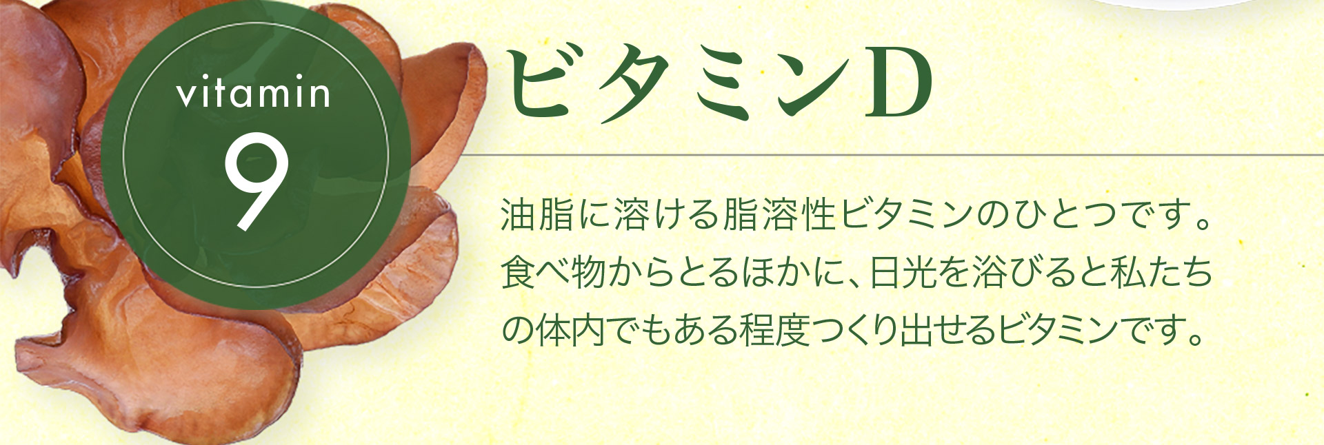 【vitamin9　ビタミンD】油脂に溶ける脂溶性ビタミンのひとつです。 食べ物からとるほかに、日光を浴びると私たちの体内でもある程度つくり出せるビタミンです。