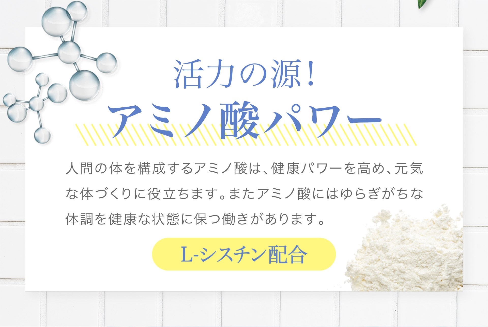 「活力の源!アミノ酸パワー」人間の体を構成するアミノ酸は、健康パワーを高め、元気な体づくりに役立ちます。またアミノ酸にはゆらぎがちな体調を健康な状態に保つ働きがあります。【L-シスチン配合】