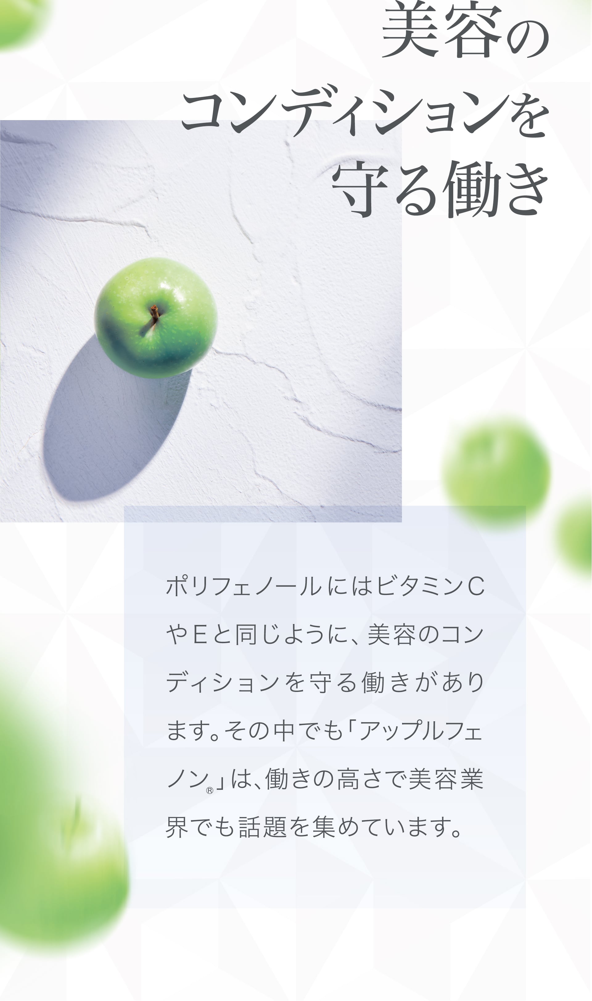 美容のコンディションを守る働き