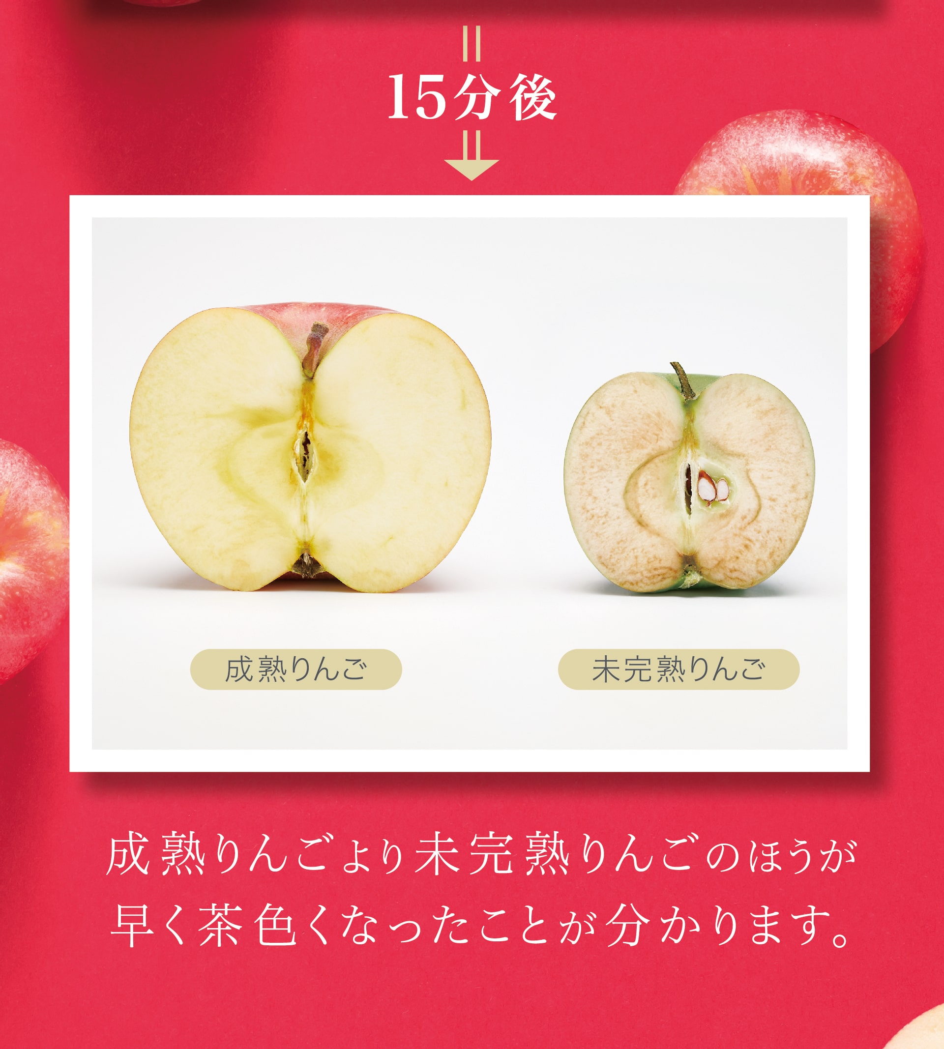 15分後の断面の比較画像