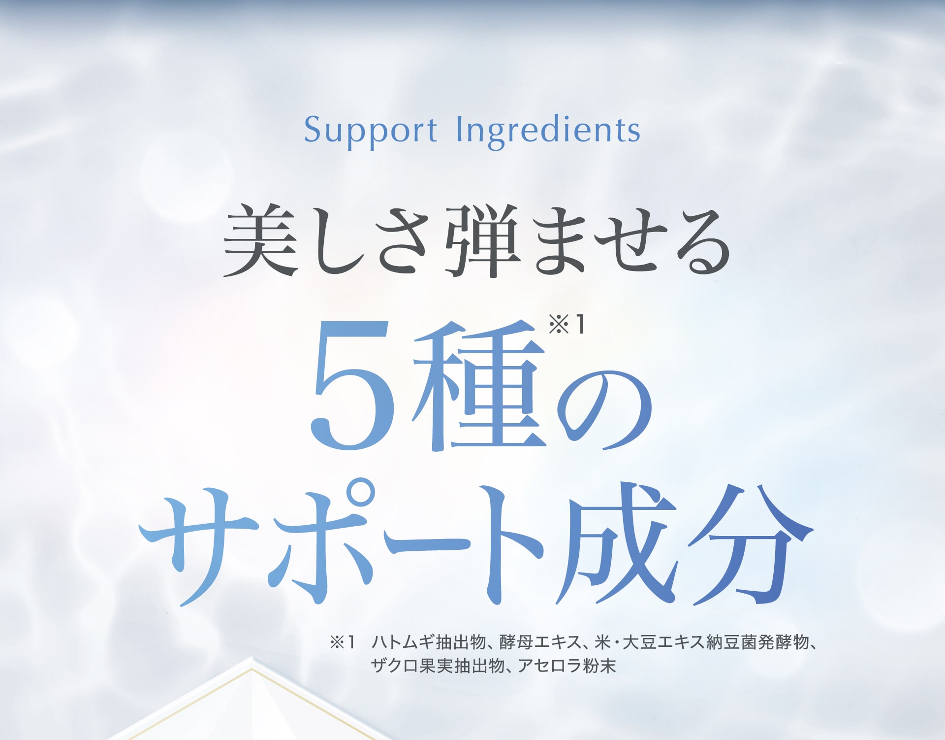 美しさ弾ませる5種のサポート成分