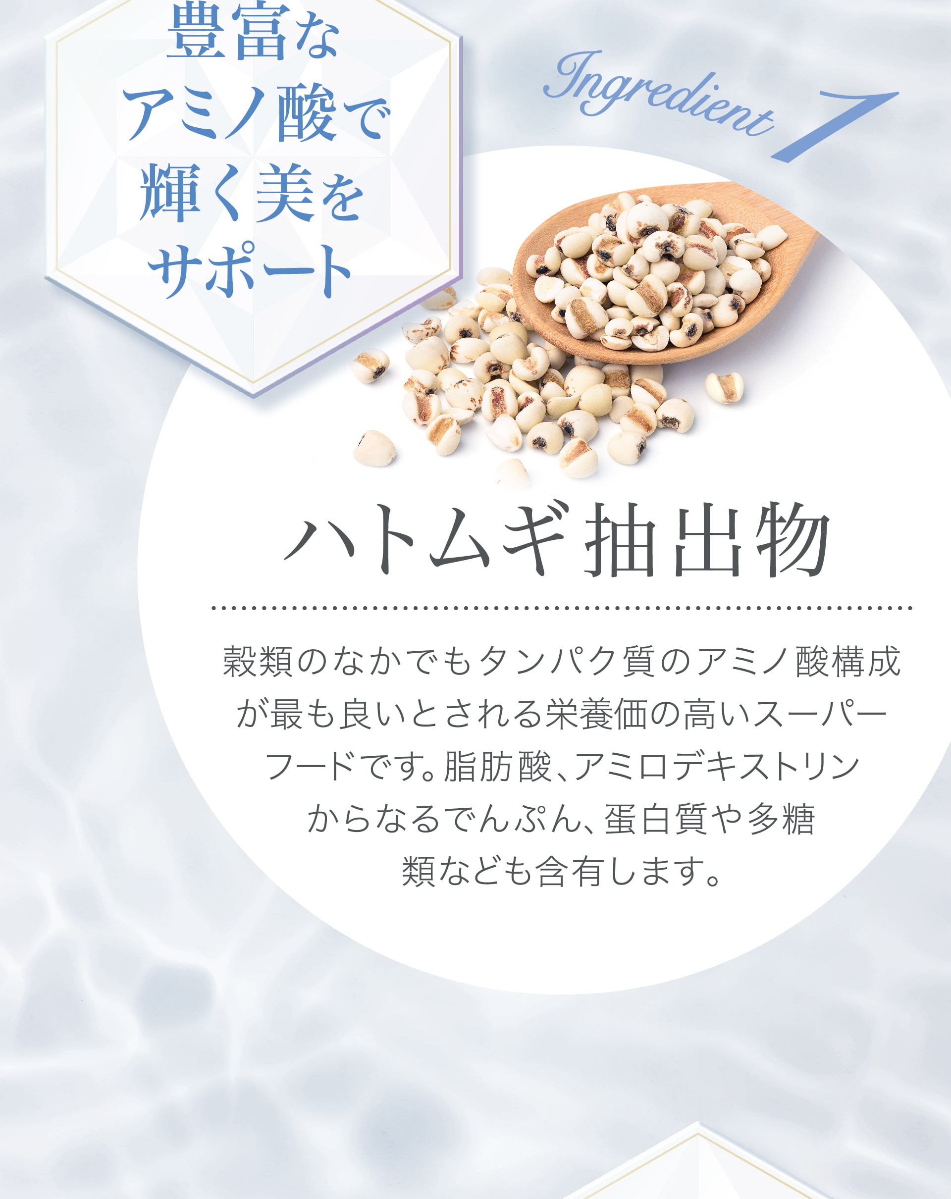 【豊富なアミノ酸で輝く美をサポート】ハトムギ抽出物