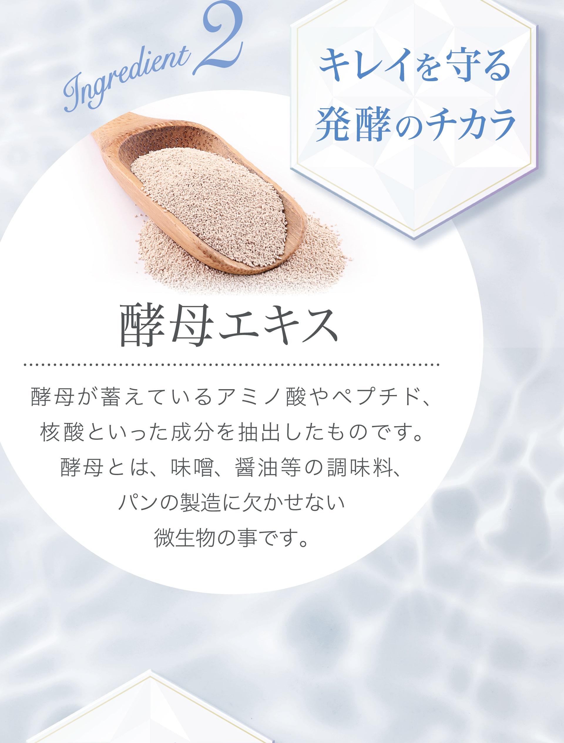 【キレイを守る発酵のチカラ】酵母エキス