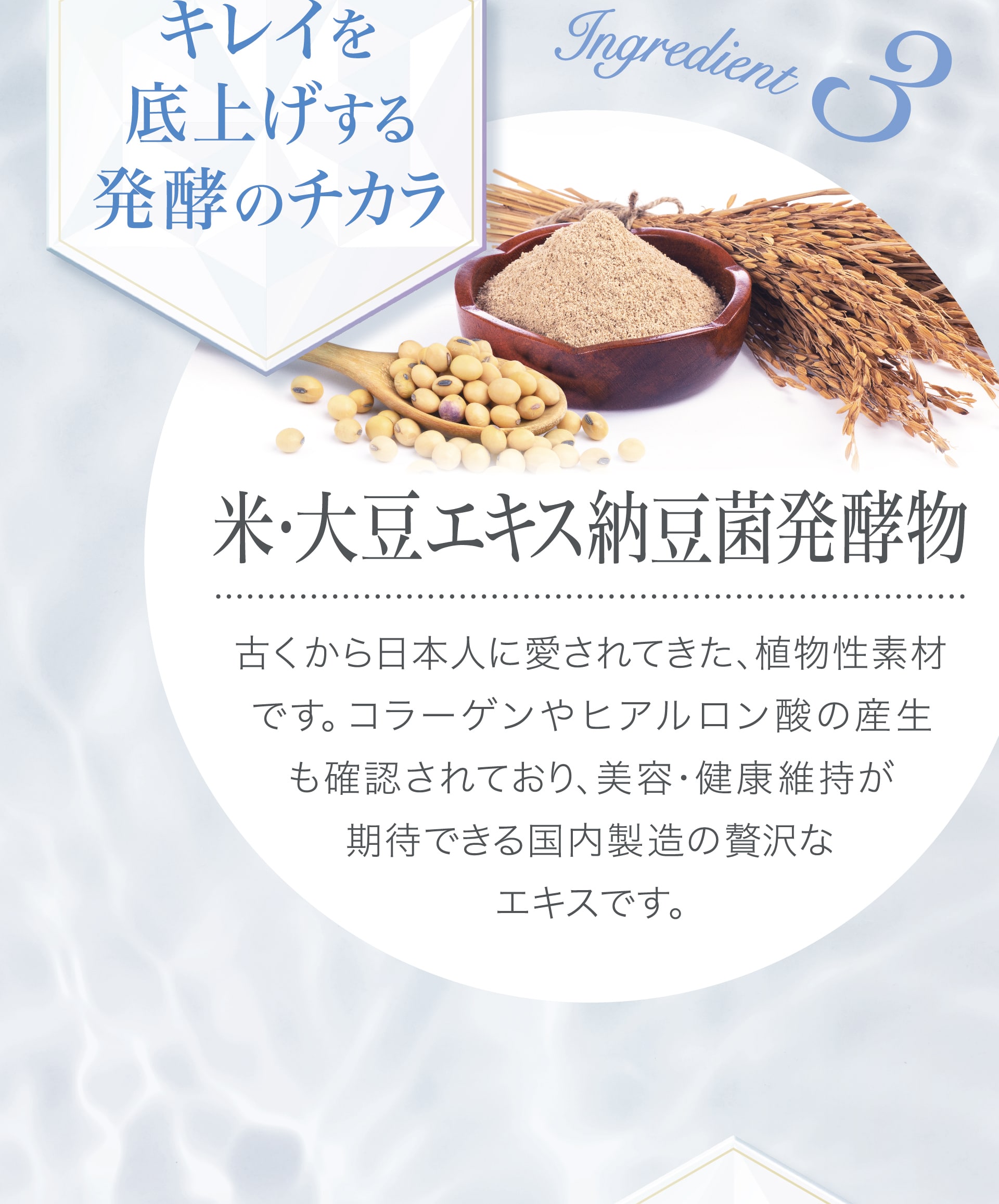 【キレイを底上げする発酵のチカラ】米・大豆エキス納豆菌発酵物