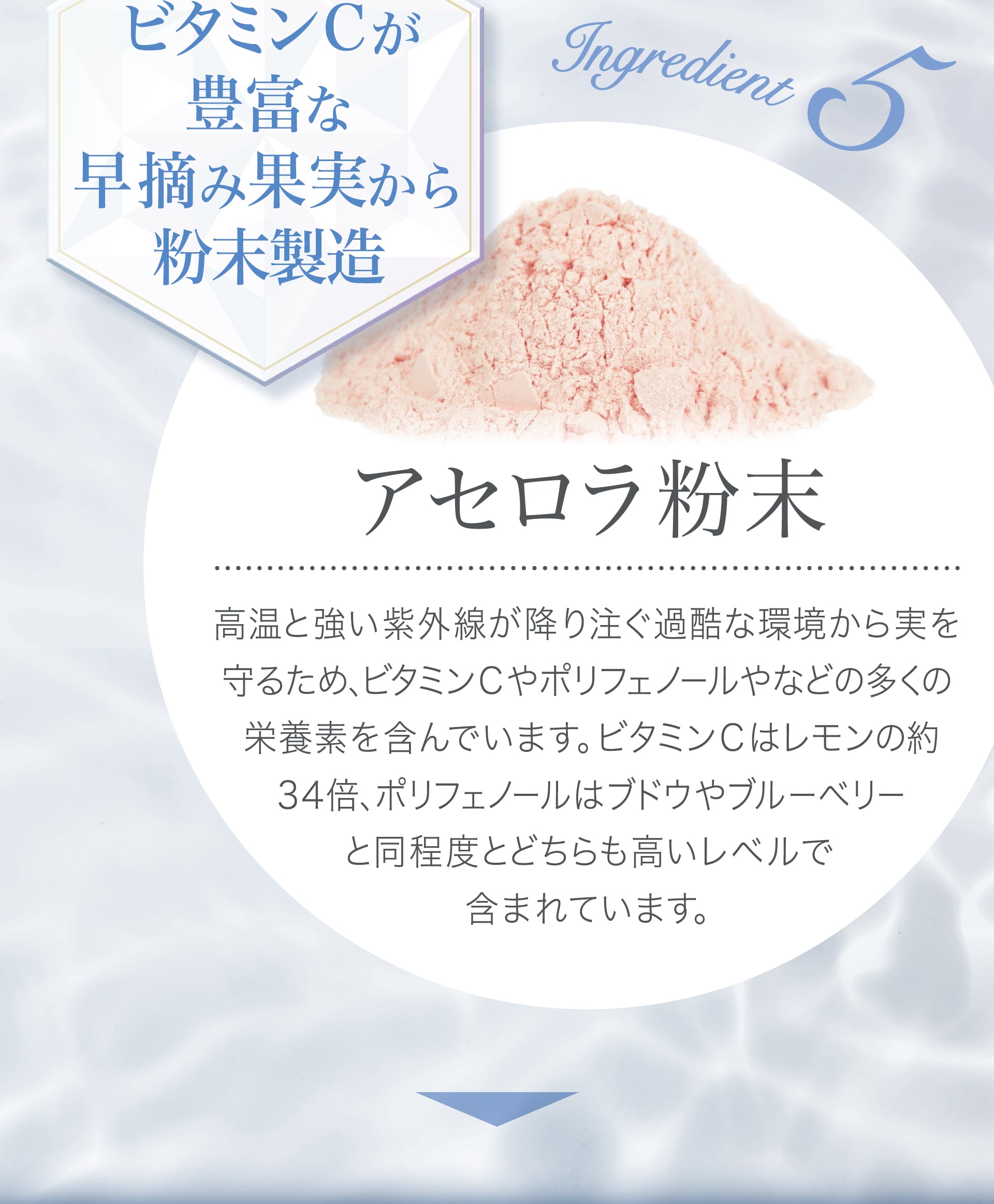 【ビタミンCが豊富な早摘み果実から粉末製造】アセロラ粉末