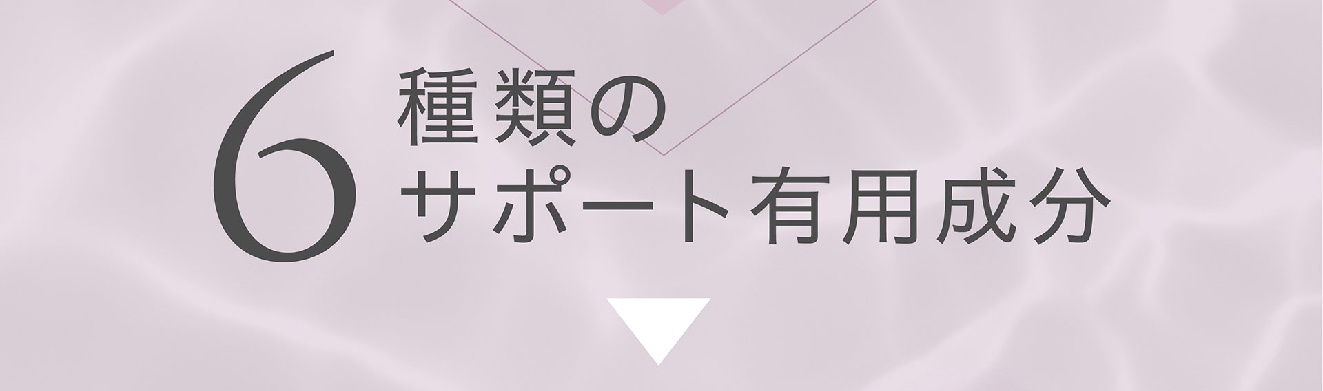 6種類のサポート有用成分