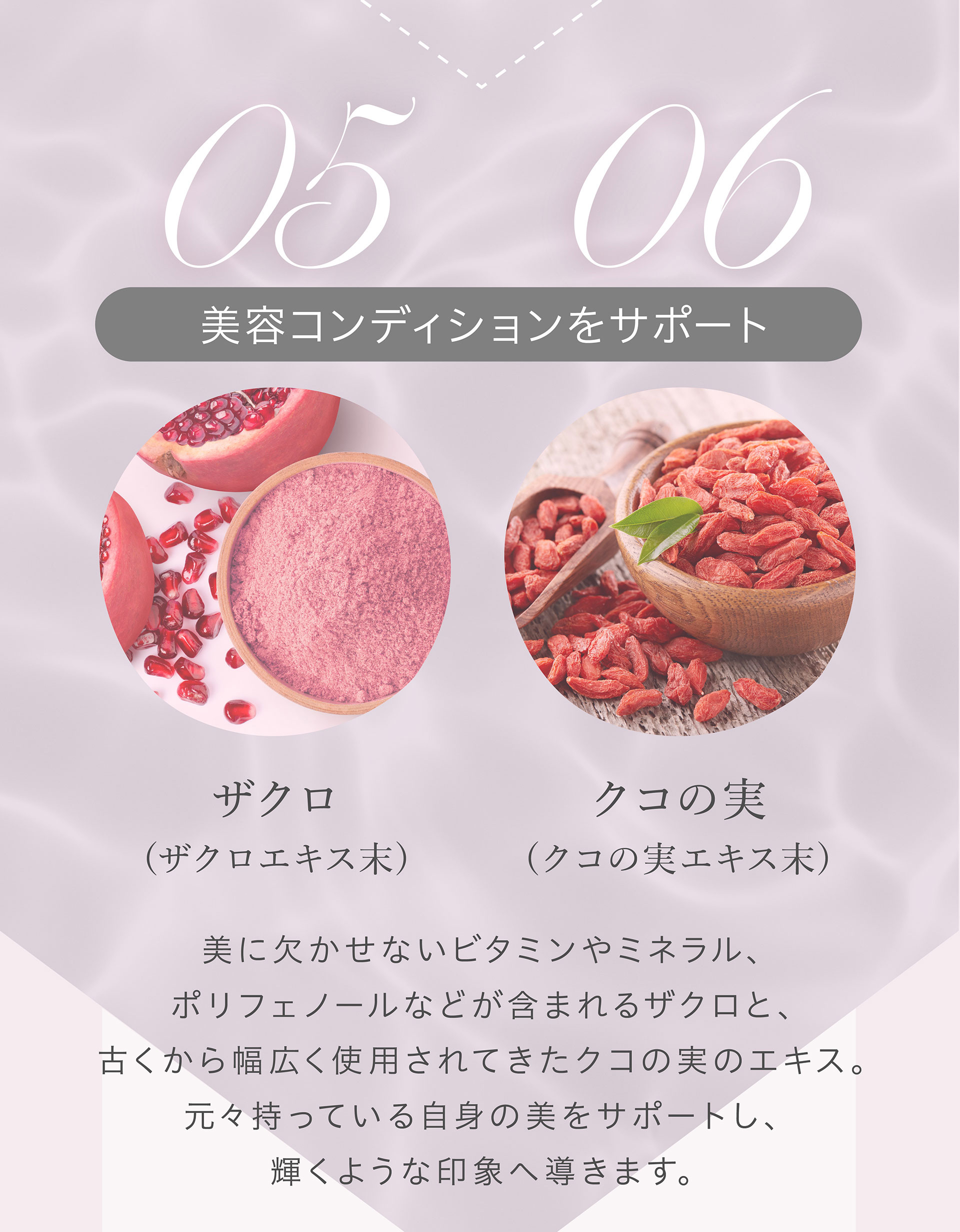 05 06 美容コンディションをサポート ザクロ(ザクロエキス末) クコの実(クコの実エキス末)